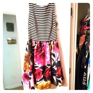 Taylor Women's dress size 6